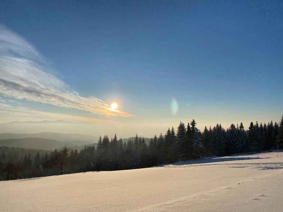 Blizej Nieba Koskowa Gora Villa Bogdanowka Exterior foto