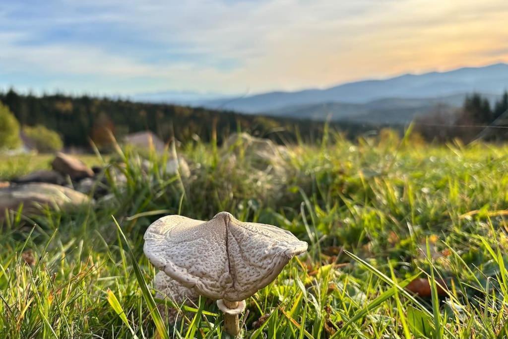 Blizej Nieba Koskowa Gora Villa Bogdanowka Exterior foto
