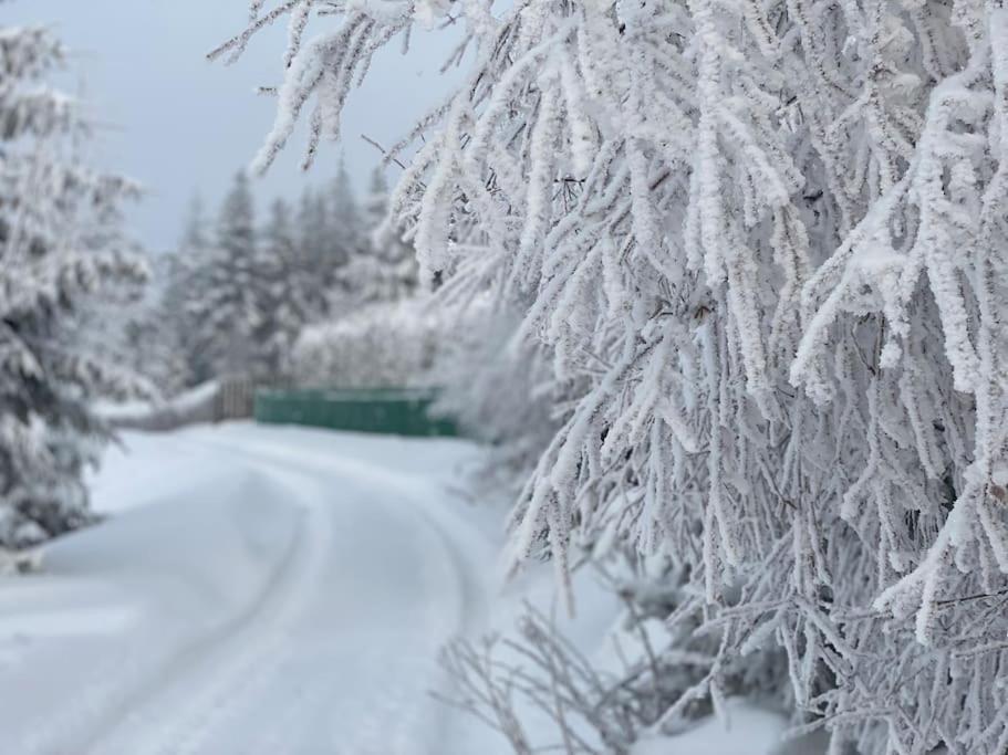 Blizej Nieba Koskowa Gora Villa Bogdanowka Exterior foto