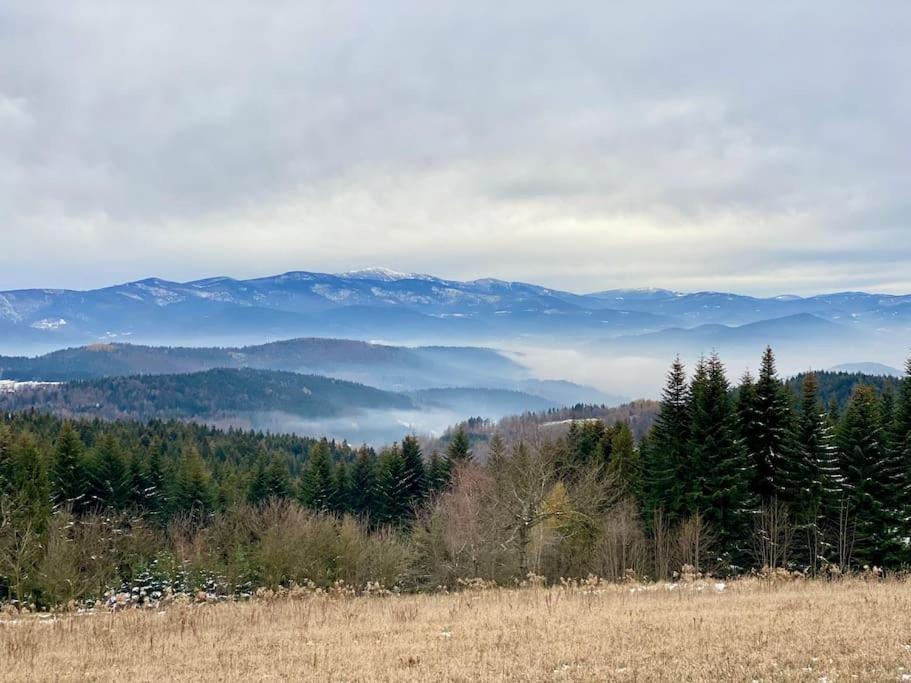 Blizej Nieba Koskowa Gora Villa Bogdanowka Exterior foto