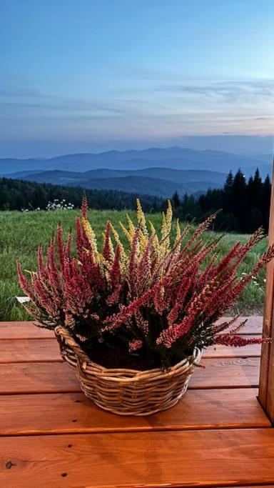 Blizej Nieba Koskowa Gora Villa Bogdanowka Exterior foto