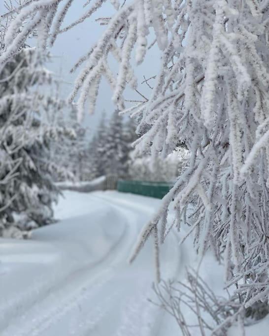 Blizej Nieba Koskowa Gora Villa Bogdanowka Exterior foto